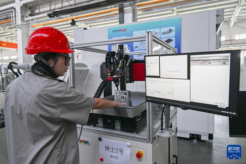 哈爾濱新區 創新熱潮涌動，技術服務引領產業振興新篇章